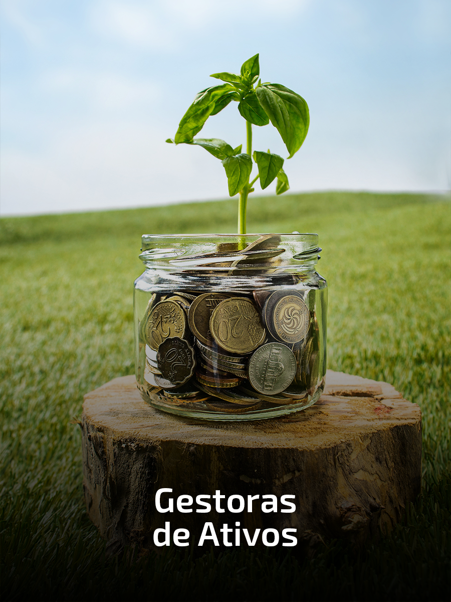Carrossel 02 - Gestora de Ativos